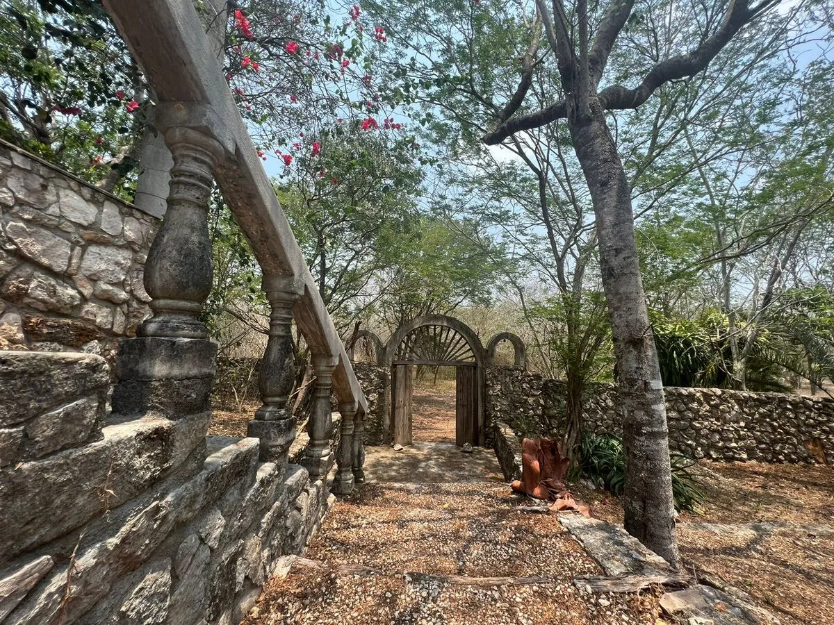 146 acre ranch for sale in Yucatan Mexico with private cenote