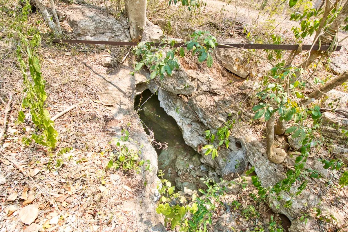 Private cave style cenote on ranch for sale in Yucatan