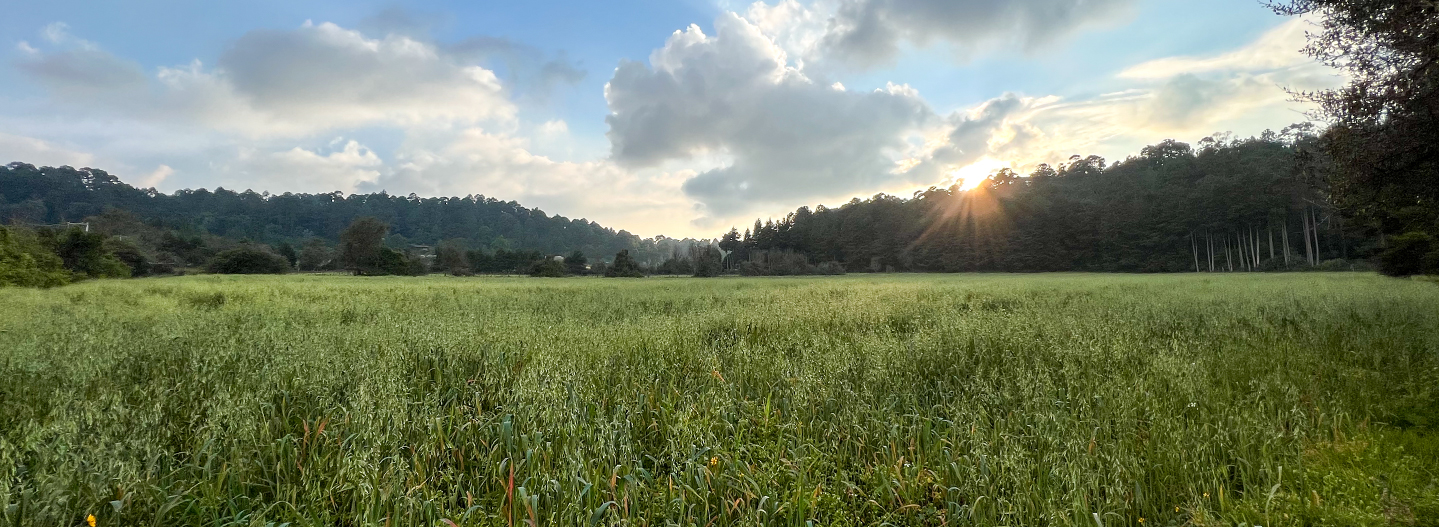 Bienvenido a Homestead Valle