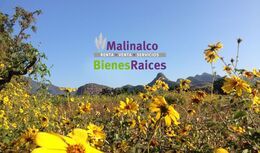 Malinalco Bienes Raices