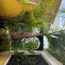Inmobiliaria María Ocampo Mid.