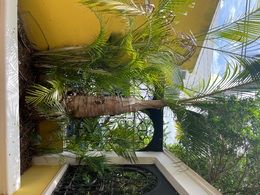 Inmobiliaria María Ocampo Mid.