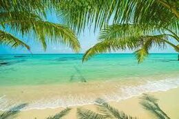 SOL Y MAR
