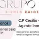GRUPO SEA BIENES RAICES