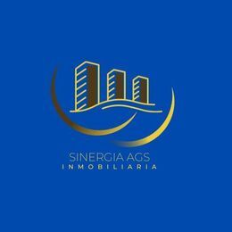Sinergia Inmobiliaria Ags
