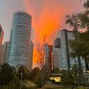 Inmobiliaria de Sonia de Armas