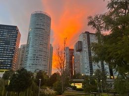 Inmobiliaria de Sonia de Armas