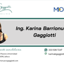 Inmobiliaria de karina violeta barrionuevo Gaggiotti