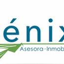 FENIX ASESORA INMOBILIARIA