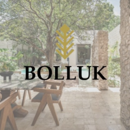 BOLLUK