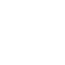 Calvo Bienes Raices