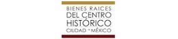 Bienes Raíces del Centro Histórico Ciudad de México