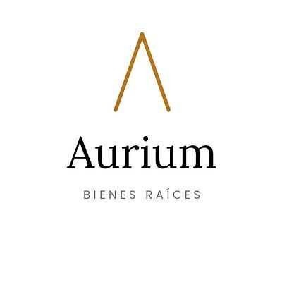 AURIUM MX bienes raíces