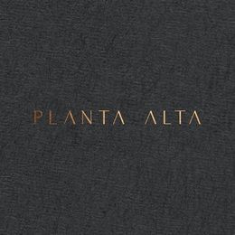 PLANTA ALTA ARQUITECTURA