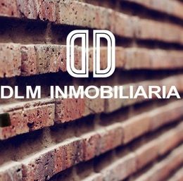 DLM INMOBILIARIA