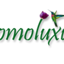 Promoluxury