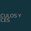 Inmobiliaria de Vinculos y Raices Inmobiliaria