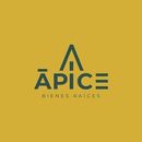 ÁPICE | Bienes Raíces