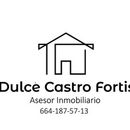 Dulce Castro Asesor Inmobiliario