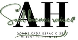 SOUL BIENES RAICES