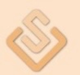 SV Inmobiliaria