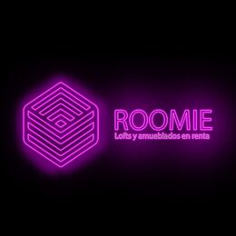 ROOMIE loft