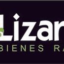 Lizards Bienes Raices