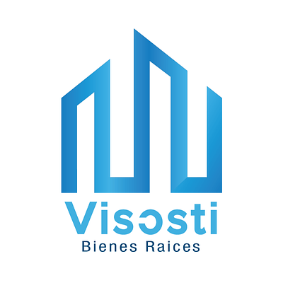 Visosti Bienes Raices