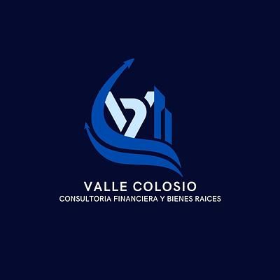 VALLE COLOSIO Consultoria Financiera y Bienes Raices