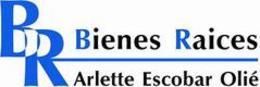 Bienes Raices Arlette Escobar