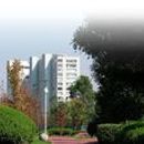 Patrimonio Inmobiliario