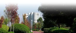 Patrimonio Inmobiliario