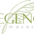 REGENCY MAZATLAN
