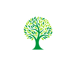 Central de Casas