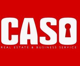 CASO INMOBILIARIA /YOLANDA CASO