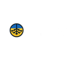 RIZOMA INMUEBLES