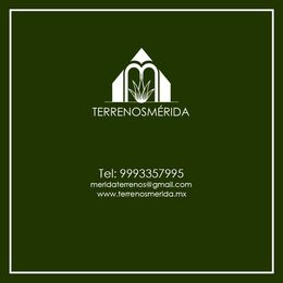 terrenosmerida.mx