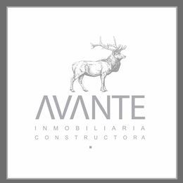 AVANTE Inmobiliaria y Constructora