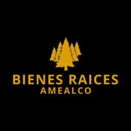 Bienes Raíces Amealco