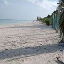 PARADISUS LUXURY REAL ESTATE