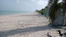 PARADISUS LUXURY REAL ESTATE