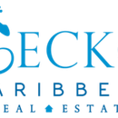 Gecko Caribbean