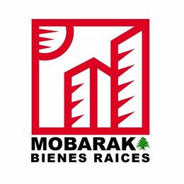 MOBARAK BIENES RAICES