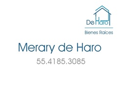 Merary De Haro