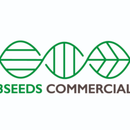 3SEEDS COMMERCIAL