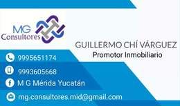 MG Consultores