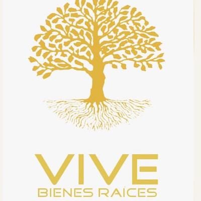Vive Bienes Raíces