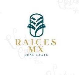Raices MX Real Estate