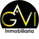 Grupo GVI