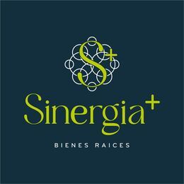 Sinergia más Bienes raíces México